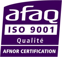 AFAQ SUEZ Consulting (SAFEGE S.A.S. Oddział w Polsce)